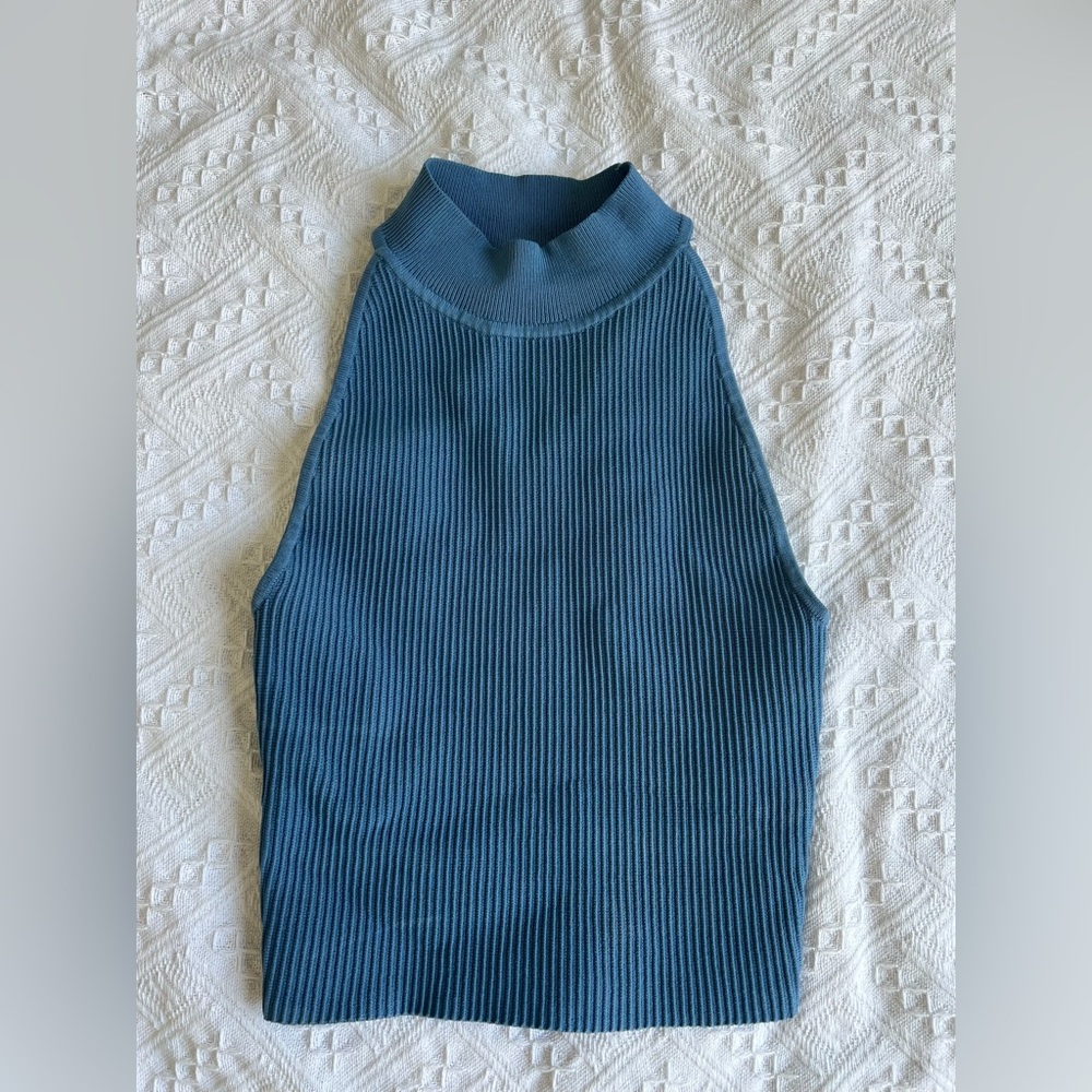 Aritzia Babaton Sculpt Mockneck Tank